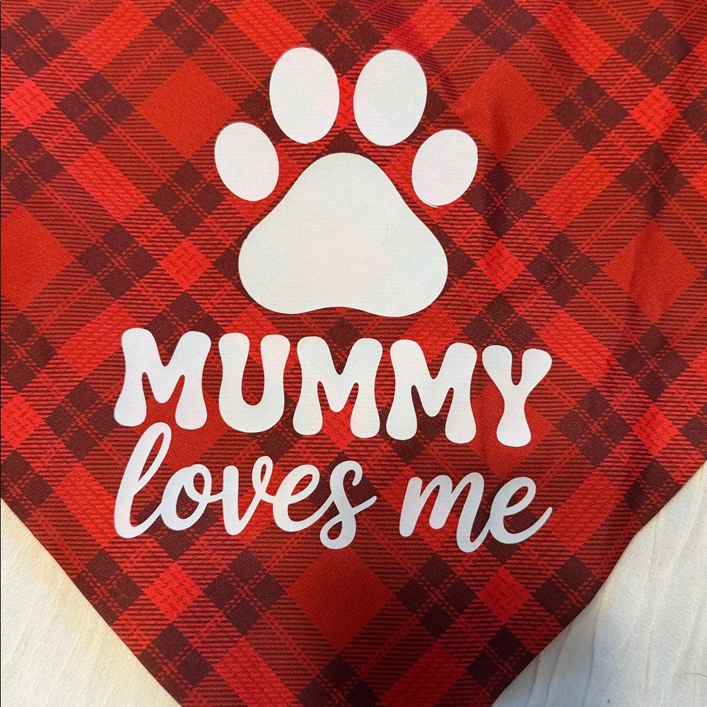 Cat/Dog/Pet Easter Bandana **NEW**